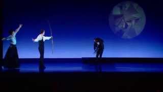 Salzburger Landestheater Trailer „Schwanensee“ [upl. by Hildegaard]