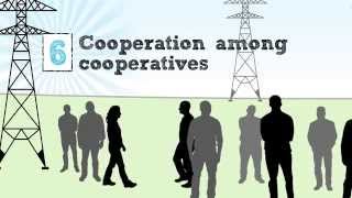 The Cooperative Business Model — The Seven Cooperative Principles [upl. by Randi]