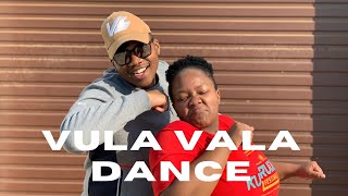 BEST AMAPIANO DANCE MOVES 031  Vula Vala Dance  Ampiano Dance Moves 2020 [upl. by Eedrahs]