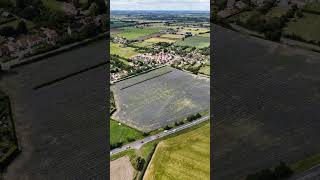 Lacy Phacelia field in Eye Suffolk Drone view of this magnificent sight in the Suffolk Countryside [upl. by Galitea]