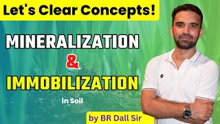 Mineralization and Immobilization  खनिजीकरण और स्थिरीकरण  Concept Clear [upl. by Bliss]