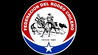 Movimiento a l Rienda  Asociación rodeos de cauquenes [upl. by Roselle]