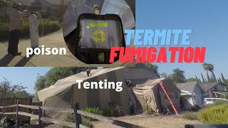 10 Termite FumigationTenting Facts You May Not Know [upl. by Bow]