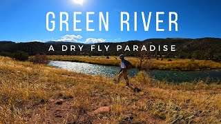 A Dry Fly Fishing PARADISE  Green RiverPart 3 [upl. by Aseena391]