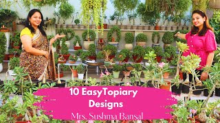 10 Easy Topiary Designs Topiary Garden Ideas Topiary Plants Topiary Designs Topiary Jade Plant [upl. by Anhej]