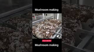 Mushroom cultivation in the factory [upl. by Omsoc]