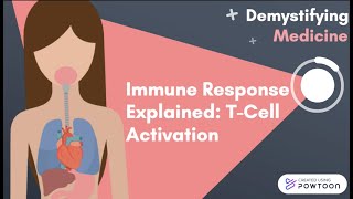 Immune Response Explained TCell Activation [upl. by Ardolino]