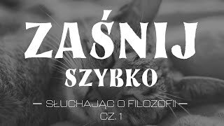 Zaśnij szybko słuchając wykładu o filozofii  Jakub Kloch  Audiobook [upl. by Gothurd]