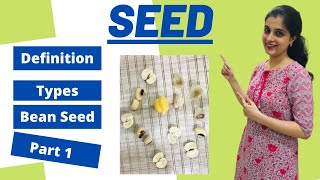 Seeds Structure and Germination Class 9 ICSE Biology Chapter 6 Part 1 Live Example Types of Seeds [upl. by Osmen]