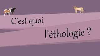 Cest quoi léthologie [upl. by Adleremse416]