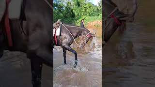 cabalgata ecológica Otaña  El Dean El mamey [upl. by Akihsat]