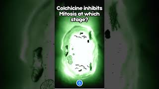 Colchicine inhibits Mitosis at which stage neet neetbiology [upl. by Leiruh222]