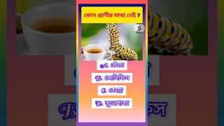 🤯কোন প্রাণীর মাথা নেই ⁉️No animal has a head gk facts quiz iqtest shorts video bangla new [upl. by Lenzi729]