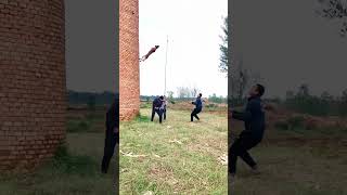 Belgian malinois jump training smartdogs [upl. by Azer]