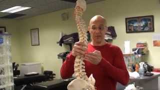 Bending the Correct Way Back Pain Sciatica Herniated Disc amp Pinched Nerve  Dr Mandell [upl. by Nywnorb]