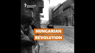 How Hungary Rose Up Against Communism In 1956 [upl. by Ocana240]