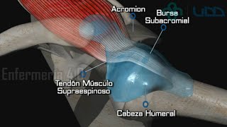 🌟EXAMEN DE LAS EXTREMIDADES SUPERIORES🌟 [upl. by Kronfeld]