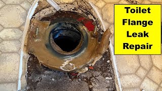 Toilet Flange Leak  Subfloor Replacement [upl. by Amadeo]