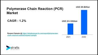 Polymerase Chain Reaction PCR Market Growth Analysis  2023  2031 [upl. by Nahshu]