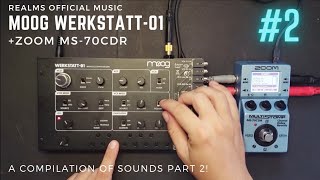 Moog Werkstatt01  Zoom MS70CDR  A Compilation Of Sounds PART 2 [upl. by Itirp]