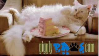 Cat Steals Birthday Cake Funny Cat Video Clip Online Birthday E Cards [upl. by Nuaj457]