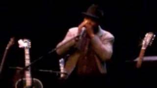 Guy Davis Solos on the Harmonica Choo Choo [upl. by Ri]