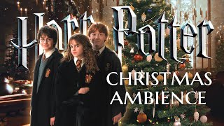 🎄🎁✧˖° CHRISTMAS at HOGWARTS ˖°✧🎄 Ambience amp Music 🎅🏻Harry Potter inspired Holiday Special 8 HOURS [upl. by Emmalee]