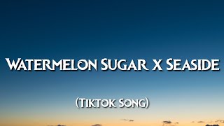 Harry Styles  Watermelon Sugar x Seaside  SEB Lyrics TikTok Song [upl. by Roane]