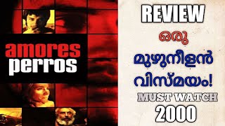 Amores Perros 2000 Mexican Movie Explained By Malayalam [upl. by Ilah]