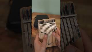 15 note Gecko Thumb Piano Kalimba Sound Demo [upl. by Nadabb]