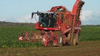 EXTRÊME CONDITIONS sugar beet harvest 2013 [upl. by Nine476]