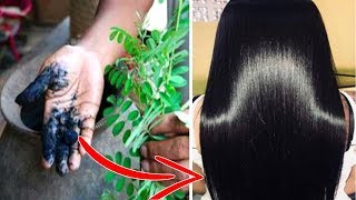 HOMEMADE 20 min Hair Dye for Instant BLACK HAIR  Color White Hair to Black Naturally  Priya Malik [upl. by Ellynn]