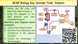 GCSE Biology Dialysis Treatment [upl. by Alboran]