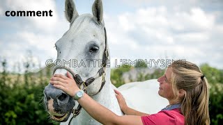 Maladie comment combattre lemphysème chez le cheval  😢 [upl. by Ettenowtna]