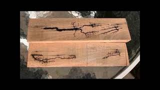 Lichtenberg Machine  Fractal Wood Burning [upl. by Olrac899]