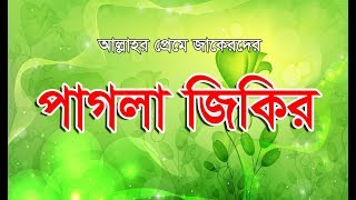 Zikir জিকির ডুবলে বাবার প্রেম সাগরে দেখবি মওলারে যার মনেতে যত চাইবে সদাই করেনে [upl. by Amoakuh487]