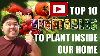 TOP 10 VEGETABLES TO PLANT INSIDE OUR HOME [upl. by Kilah]