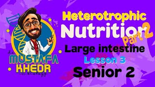 Biology  heterotrophic nutrition  part 2  large intestine دكتور مصطفي خضر [upl. by Holtorf]