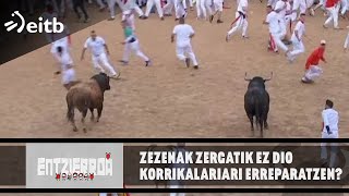 Zezenak zergatik ez dio korrikalariari erreparatzen [upl. by Charline]