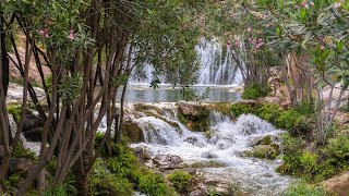 Descubre los parques naturales de la Comunitat Valenciana MediterráneoEnAcción [upl. by Tebzil]