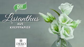 DIY traumhafte LisianthusBlüten aus Krepppapier How to Deko Kitchen P [upl. by Moon]