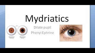 Ophthalmology 580 Mydriatic Dilate Pupil PhenylEphrine Tropicamide Mydriasis Eye drop fundoscopy [upl. by Suez392]