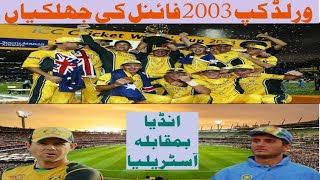 World Cup 2003 Final Highlights  Great Fight Between India And Australia  India VS Australia Final [upl. by Akeyla]