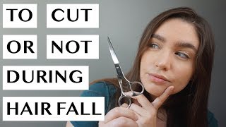 HAIR CUTS AND HAIR FALL  THINGS TO CONSIDER BEFORE CUTTING YOUR HAIR  TELOGEN EFFLUVIUM RECOVERY [upl. by Seavir]