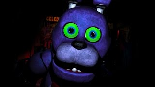 Five Nights at Freddys 5  FINALLY FINISHED [upl. by Favianus661]