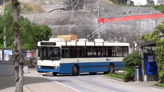 VBL trolley buses 261 and 264 [upl. by Ybhsa]