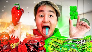 Extreme Spicy Vs Sour Challenge [upl. by Betteanne]