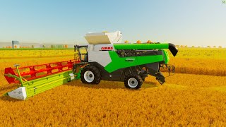 FS22 TRITICALE HARVESTING WITH 2 COMBINE NEW HORIZONS FARM [upl. by Nus314]