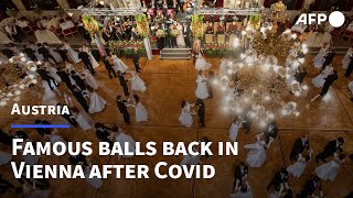 Vienna ball season back with a bang  AFP [upl. by Shepley]