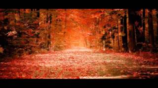 Shafiq Mureed New Farsi Sad Romantic And A Very Heart Touching Song 2013 Must Listen [upl. by Llennej]